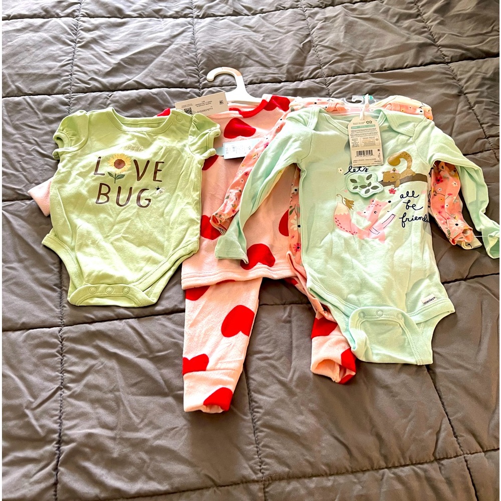 NWT Baby Girl Bundle! 5 pieces ranging from 0-12 months!